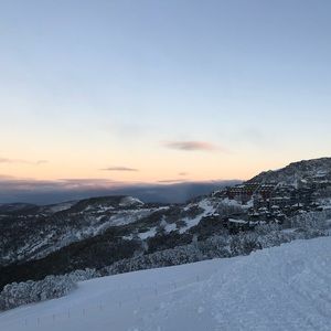 Meet your Posher, Bridget